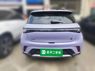 BYD Dolphin 2023 купить из Китая, цена 1 554 000 ₽ — Suifenhe Auto