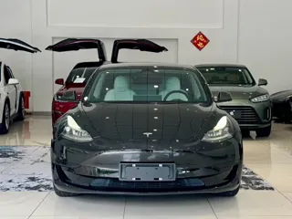 Tesla Model 3 2022 купить из Китая, цена 4 800 000 ₽ — Suifenhe Auto