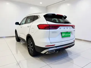 Haval H6 2022 купить из Китая, цена 1 182 000 ₽ — Suifenhe Auto