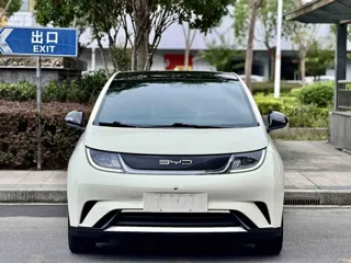 BYD Dolphin 2023 купить из Китая, цена 1 361 000 ₽ — Suifenhe Auto