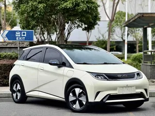 BYD Dolphin 2023 купить из Китая, цена 1 361 000 ₽ — Suifenhe Auto