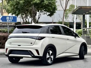 BYD Dolphin 2023 купить из Китая, цена 1 361 000 ₽ — Suifenhe Auto