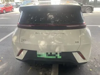 BYD Seagull 2024 купить из Китая, цена 1 287 000 ₽ — Suifenhe Auto