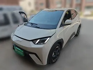 BYD Seagull 2025 купить из Китая, цена 1 517 000 ₽ — Suifenhe Auto
