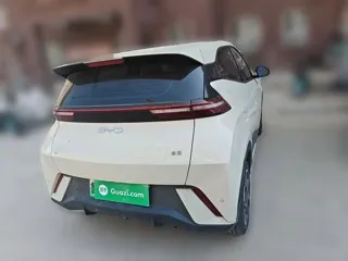 BYD Seagull 2025 купить из Китая, цена 1 517 000 ₽ — Suifenhe Auto