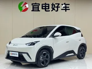 BYD Seagull 2023 купить из Китая, цена 1 258 000 ₽ — Suifenhe Auto