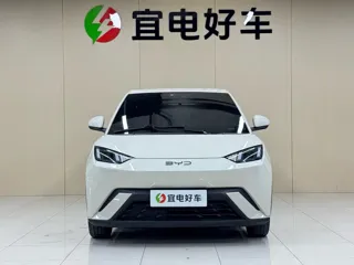 BYD Seagull 2023 купить из Китая, цена 1 258 000 ₽ — Suifenhe Auto