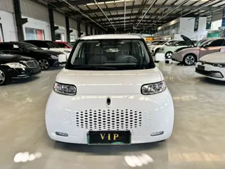 ORA White Cat 2021 купить из Китая, цена 1 058 000 ₽ — Suifenhe Auto