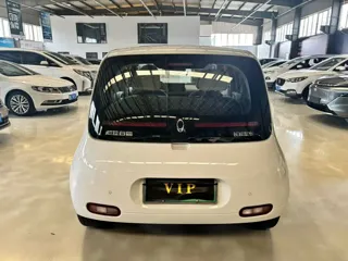 ORA White Cat 2021 купить из Китая, цена 1 058 000 ₽ — Suifenhe Auto