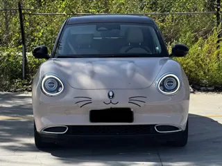 ORA Good Cat 2021 купить из Китая, цена 1 221 000 ₽ — Suifenhe Auto