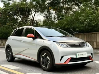BYD Dolphin 2022 купить из Китая, цена 1 403 000 ₽ — Suifenhe Auto