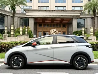 BYD Dolphin 2022 купить из Китая, цена 1 403 000 ₽ — Suifenhe Auto