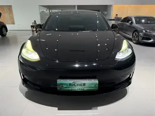 Tesla Model 3 2023 купить из Китая, цена 4 564 000 ₽ — Suifenhe Auto