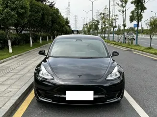 Tesla Model 3 2023 купить из Китая, цена 4 673 000 ₽ — Suifenhe Auto