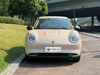 ORA Good Cat 2021 купить из Китая, цена 1 294 000 ₽ — Suifenhe Auto