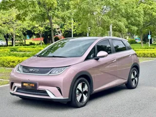 BYD Dolphin 2024 купить из Китая, цена 1 365 000 ₽ — Suifenhe Auto