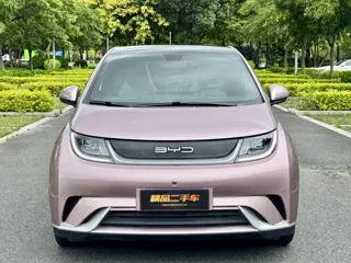 BYD Dolphin 2024 купить из Китая, цена 1 365 000 ₽ — Suifenhe Auto