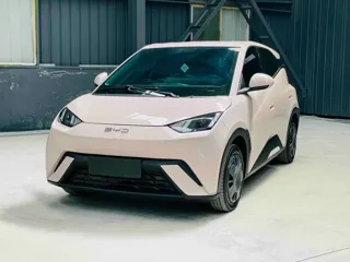 BYD Seagull 2025 купить из Китая, цена 1 401 000 ₽ — Suifenhe Auto