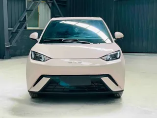 BYD Seagull 2025 купить из Китая, цена 1 401 000 ₽ — Suifenhe Auto