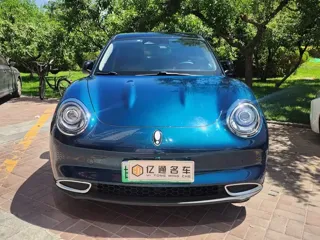 ORA Good Cat 2021 купить из Китая, цена 1 330 000 ₽ — Suifenhe Auto