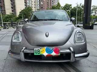 ORA Ballet Cat 2023 купить из Китая, цена 1 902 000 ₽ — Suifenhe Auto