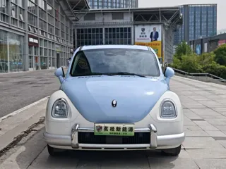 ORA Ballet Cat 2023 купить из Китая, цена 1 806 000 ₽ — Suifenhe Auto