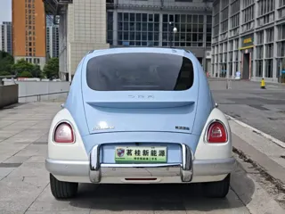 ORA Ballet Cat 2023 купить из Китая, цена 1 806 000 ₽ — Suifenhe Auto