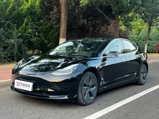 Tesla Model 3 2021 купить из Китая, цена 4 204 000 ₽ — Suifenhe Auto