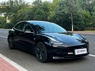 Tesla Model 3 2021 купить из Китая, цена 4 204 000 ₽ — Suifenhe Auto