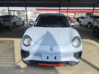 ORA GT 2022 купить из Китая, цена 1 650 000 ₽ — Suifenhe Auto