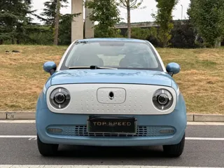 ORA Black Cat 2019 купить из Китая, цена 876 000 ₽ — Suifenhe Auto
