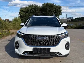 Haval M6 2023 купить из Китая, цена 1 254 000 ₽ — Suifenhe Auto