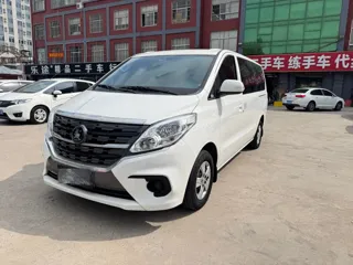 Dongfeng Fengxing Lingzhi 2024