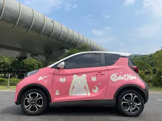 Chery QQ Little Ant 2021 купить из Китая, цена 913 000 ₽ — Suifenhe Auto