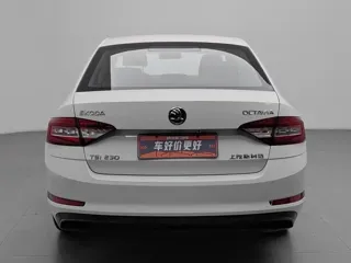 Skoda Octavia 2018 купить из Китая, цена 1 108 000 ₽ — Suifenhe Auto