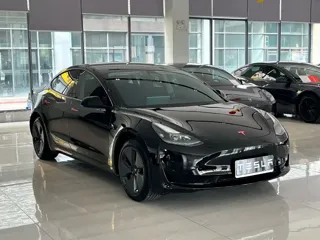 Tesla Model 3 2023 купить из Китая, цена 5 018 000 ₽ — Suifenhe Auto