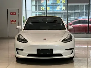 Tesla Model 3 2020 купить из Китая, цена 4 292 000 ₽ — Suifenhe Auto