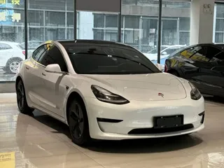 Tesla Model 3 2020 купить из Китая, цена 4 292 000 ₽ — Suifenhe Auto