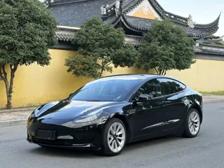 Tesla Model 3 2022 купить из Китая, цена 4 673 000 ₽ — Suifenhe Auto