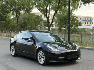 Tesla Model 3 2022 купить из Китая, цена 4 673 000 ₽ — Suifenhe Auto