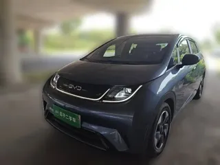BYD Dolphin 2024 купить из Китая, цена 1 579 000 ₽ — Suifenhe Auto