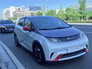 BYD Dolphin 2022 купить из Китая, цена 1 221 000 ₽ — Suifenhe Auto