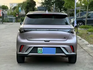 BYD Dolphin 2022 купить из Китая, цена 1 131 000 ₽ — Suifenhe Auto