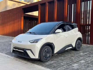 BYD Seagull 2025 купить из Китая, цена 1 276 000 ₽ — Suifenhe Auto