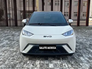 BYD Seagull 2025 купить из Китая, цена 1 276 000 ₽ — Suifenhe Auto