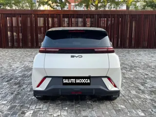 BYD Seagull 2025 купить из Китая, цена 1 276 000 ₽ — Suifenhe Auto