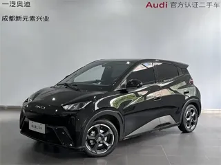 BYD Seagull 2024 купить из Китая, цена 1 205 000 ₽ — Suifenhe Auto