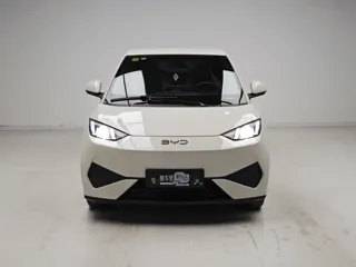 BYD Seagull 2025 купить из Китая, цена 1 329 000 ₽ — Suifenhe Auto