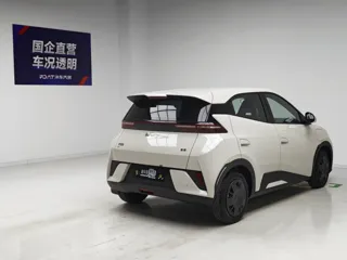 BYD Seagull 2025 купить из Китая, цена 1 329 000 ₽ — Suifenhe Auto