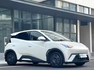 BYD Seagull 2023 купить из Китая, цена 1 276 000 ₽ — Suifenhe Auto
